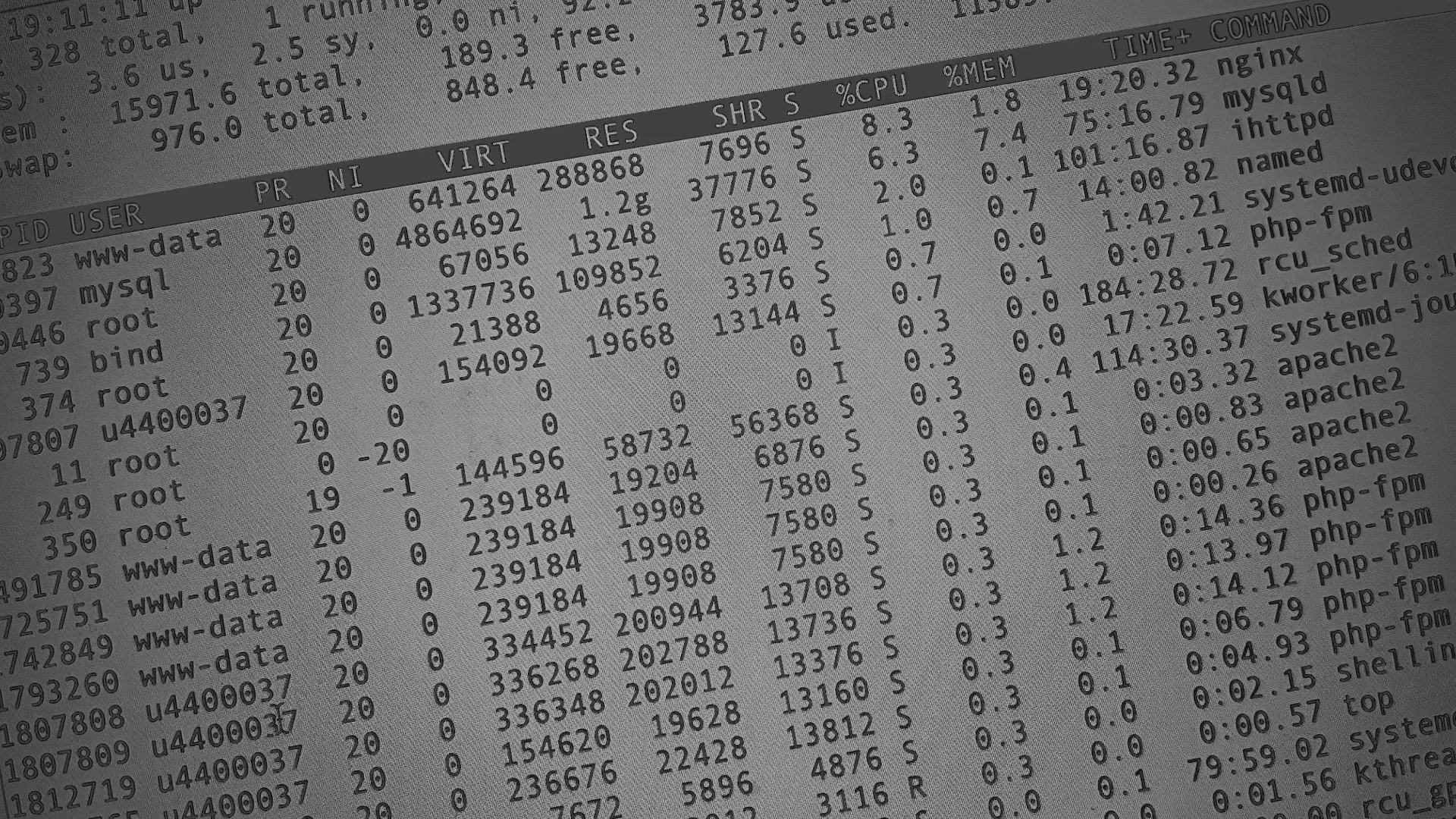 Настройка сервера в Долгопрудном Настройка сервера в Долгопрудном