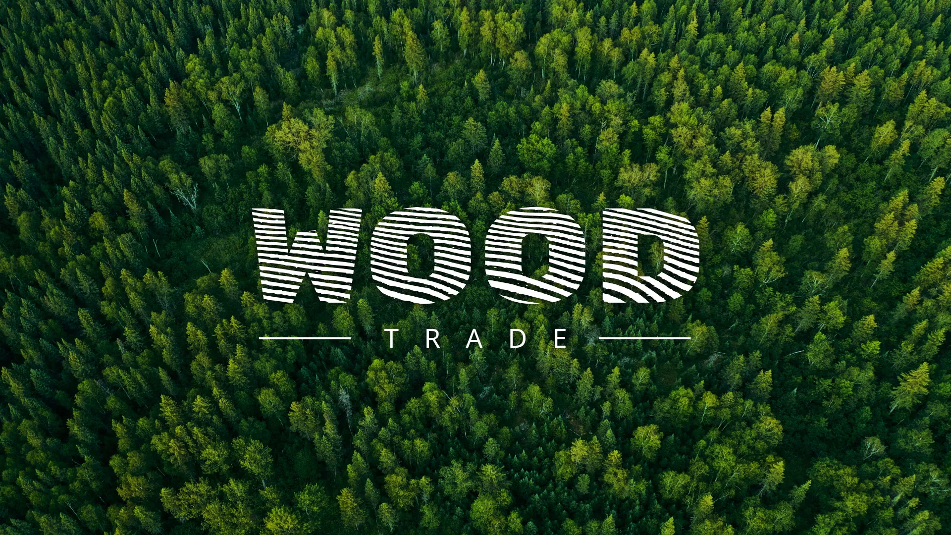 Разработка интернет-магазина компании «Wood Trade» в Долгопрудном