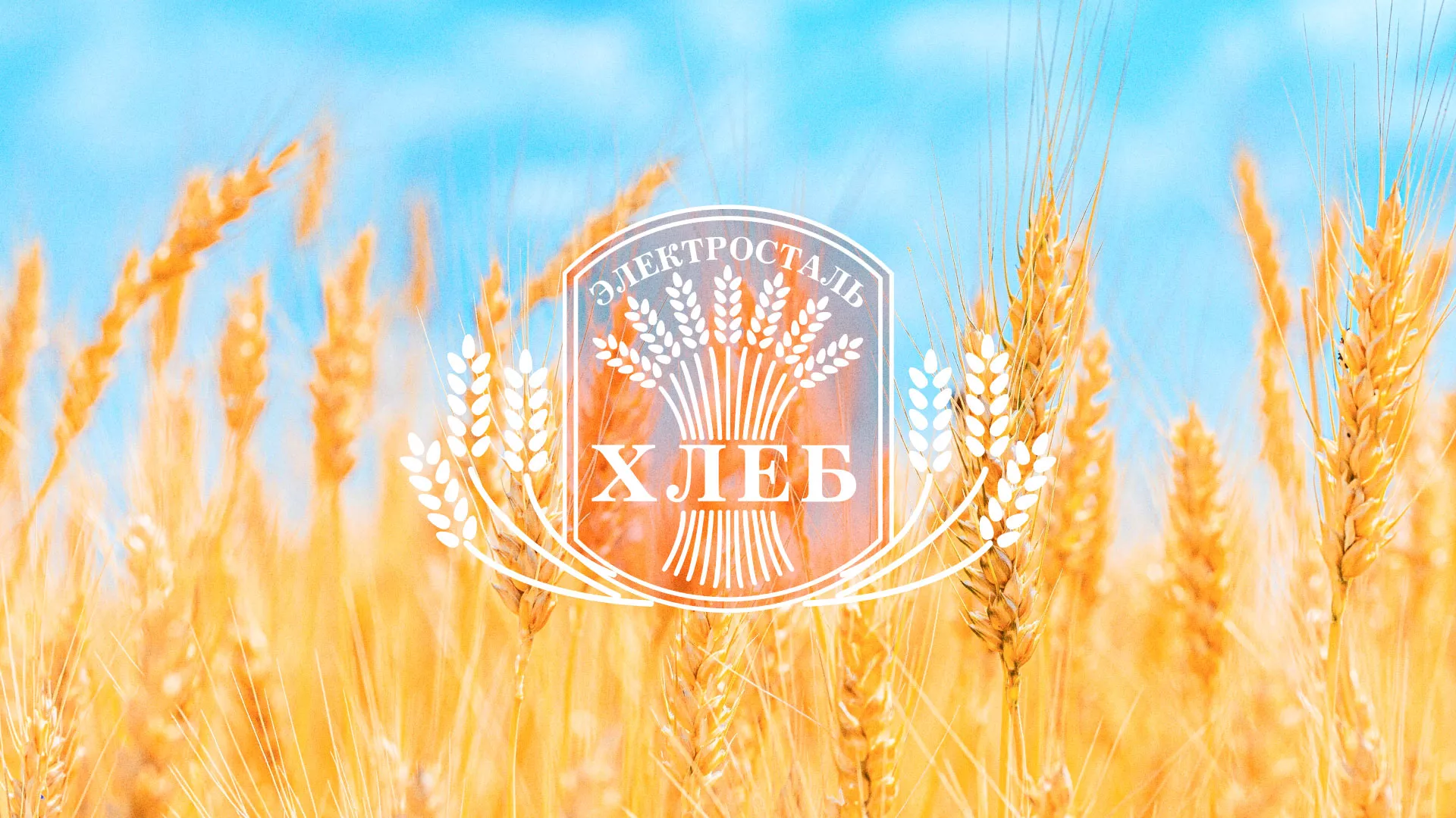 Создание сайта для хлебзавода в Долгопрудном