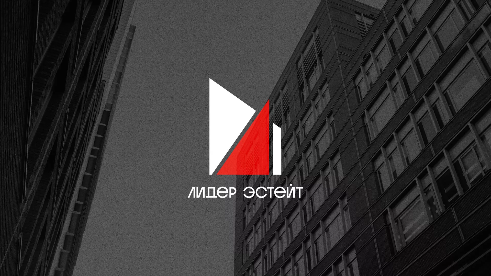 Сделали логотип для агентства недвижимости «Лидер Эстейт» в Долгопрудном